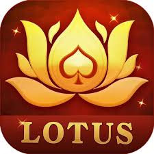 teen patti meta apk download download